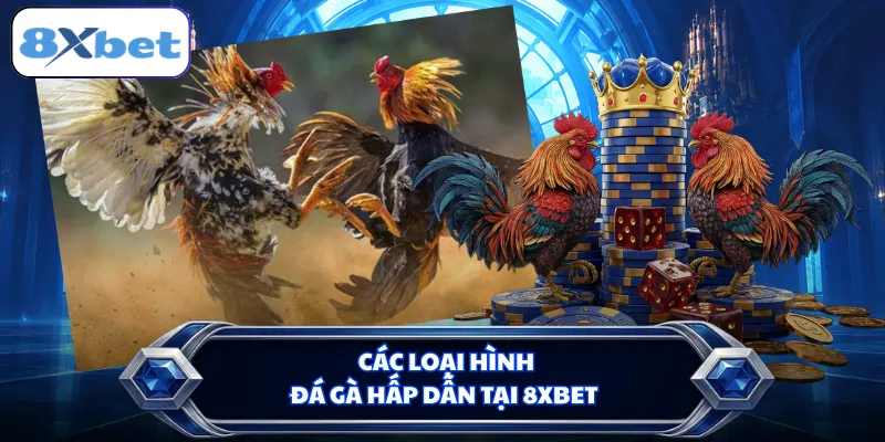 Các loại hình đá gà hấp dẫn tại 8XBET