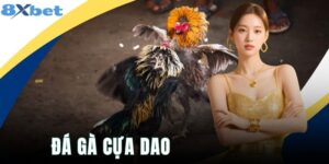 Đá Gà Cựa Dao - Thể Thức Hội Tụ Những Chiến Kê Cực Mạnh Mẽ