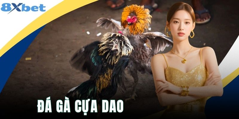Đá Gà Cựa Dao - Thể Thức Hội Tụ Những Chiến Kê Cực Mạnh Mẽ