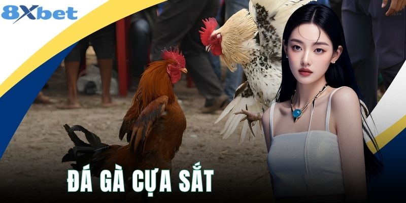 Đá Gà Cựa Sắt 8XBET Kịch Tính Với Bộ Quy Tắc Tiêu Chuẩn
