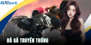 Đá Gà Truyền Thống - 5 Đặc Điểm Riêng, Giữ Nét Đẹp Dân Dã