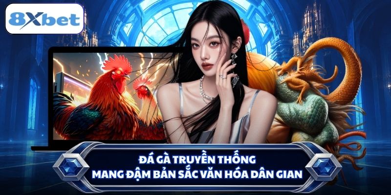 Đá gà truyền thống mang đậm bản sắc văn hóa dân gian
