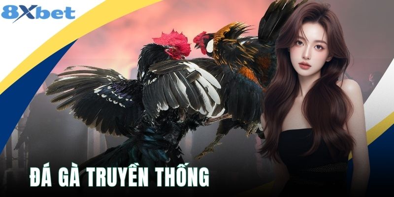 Đá Gà Truyền Thống - 5 Đặc Điểm Riêng, Giữ Nét Đẹp Dân Dã