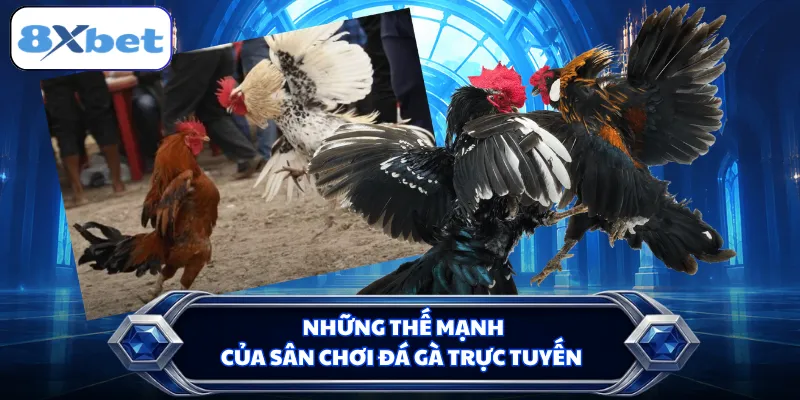 Những thế mạnh của sân chơi đá gà trực tuyến
