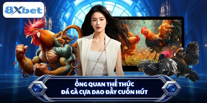 Tổng quan thể thức đá gà cựa dao đầy cuốn hút