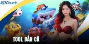 Tool Bắn Cá - Nguy Cơ Tiềm Ẩn Cần Biết Và Cách Chơi An Toàn