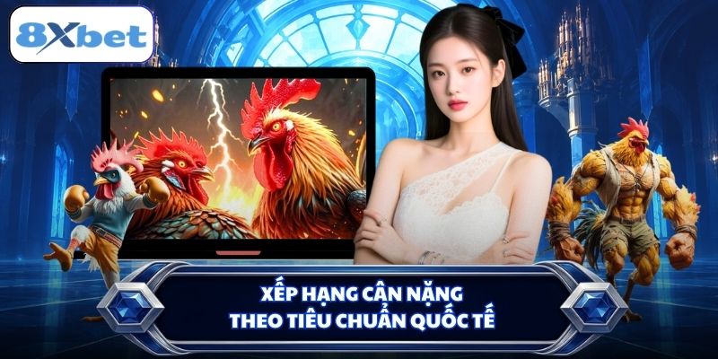 Xếp hạng cân nặng theo tiêu chuẩn quốc tế